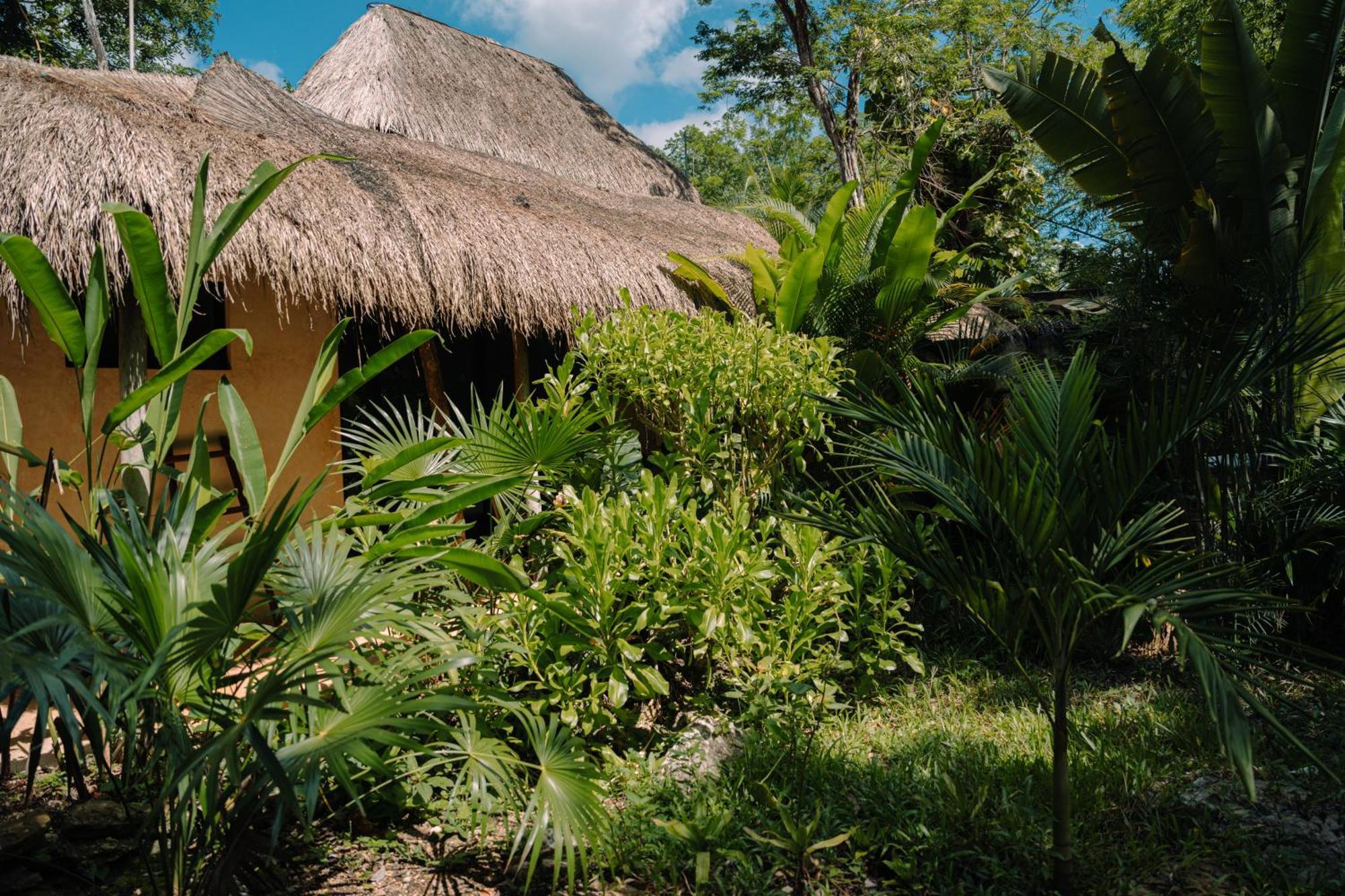 Aldea Coba An Escape Boutique Experience Hotel Стая снимка